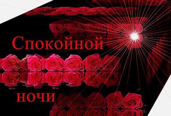 Спокойной ночи с белыми розами