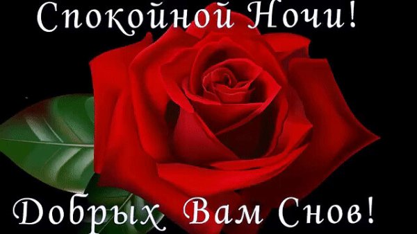 Вечерние цветы для любимой