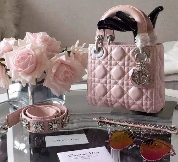 Chanel Bags Dior