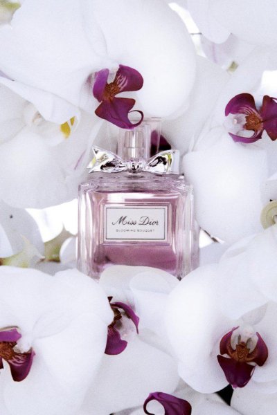 Dior Fragrance