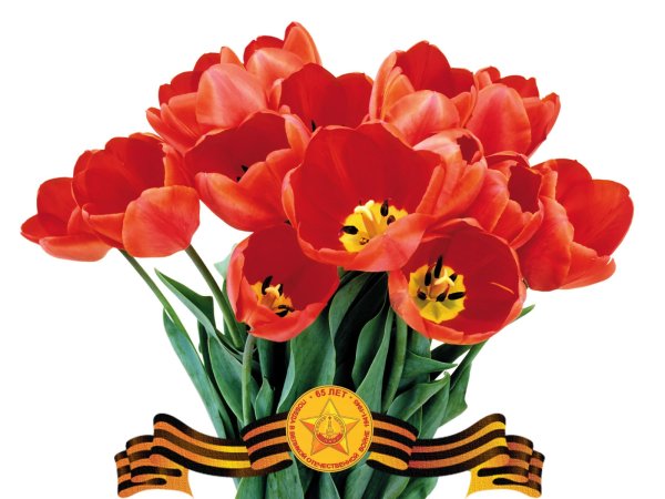 Цветы на 9 мая
