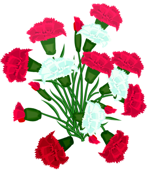 Цветы на 9 мая