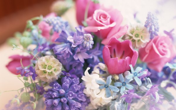 Цветы кисти краски