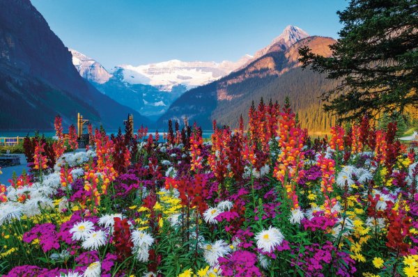 Пазл Ravensburger Flowery Mountains