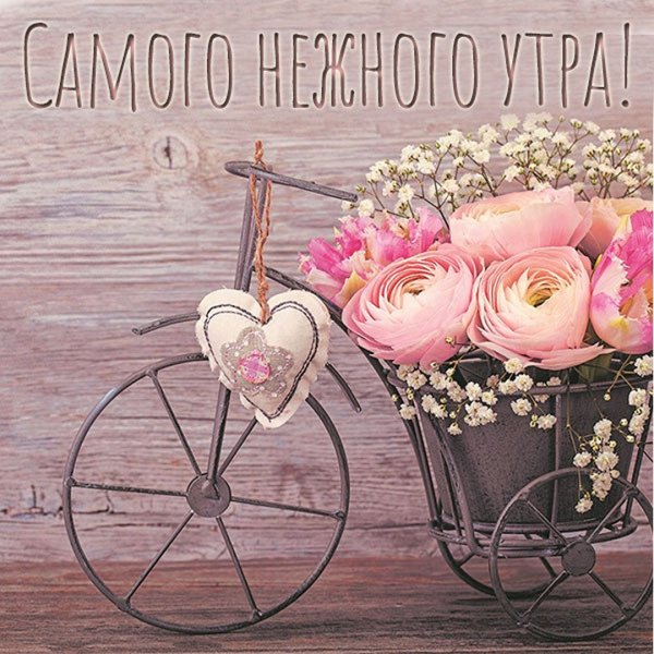 С добрым утром картинки нежные прикольные