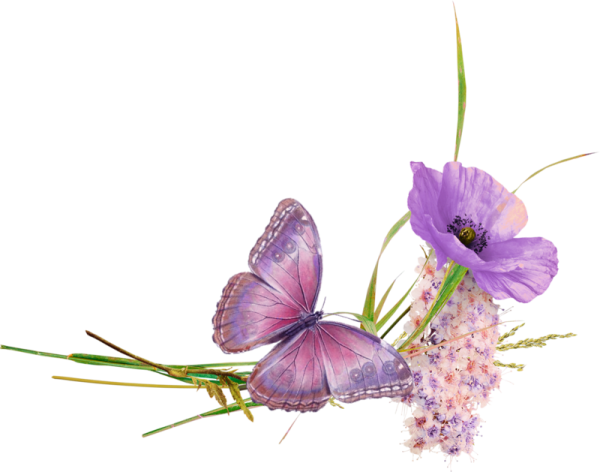 Фиолетовые мелкие цветочки на прозрачном фоне