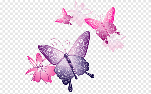 Прозрачный фон виде бабочки Изображения – скачать бесплатно на Freepik