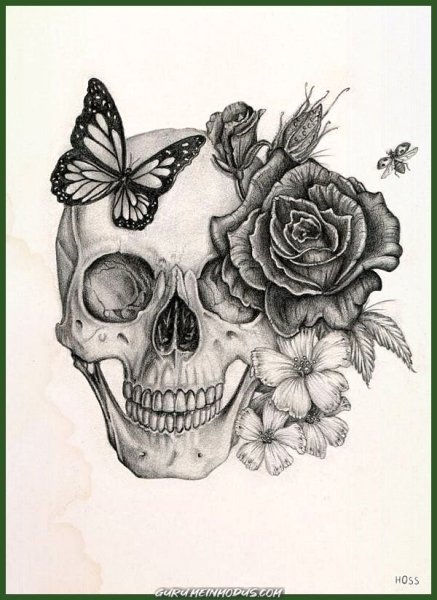 Billelis художник Sanctus Mortis