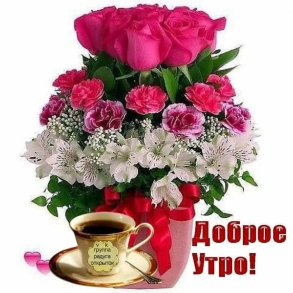 С добрым утром цветы красивые