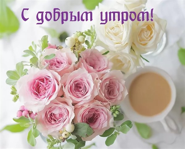 Букет «настроение»