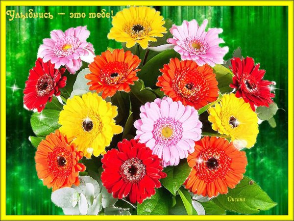 Цветочки для Ксюшеньки