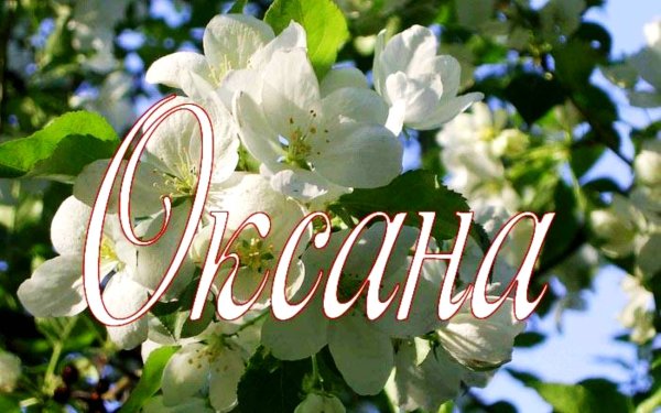 Красивые цветы для Оксаны