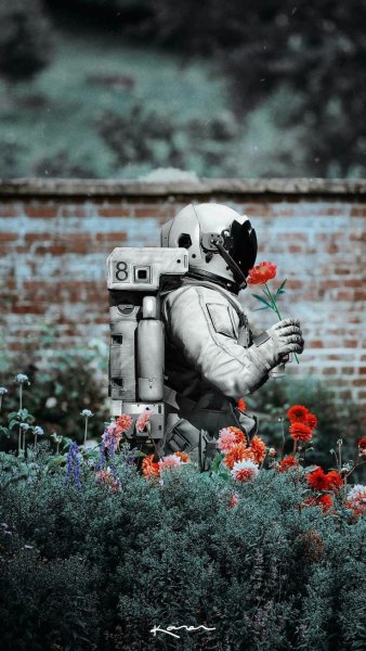Космонавт и цветы арт