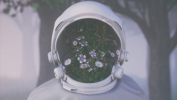 Космонавт бабочки