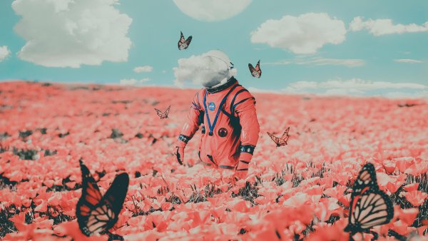 Космонавт в цветах