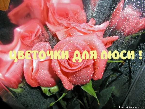 С днём рождения Людмила