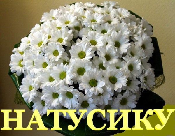 Ромашки для Наташки