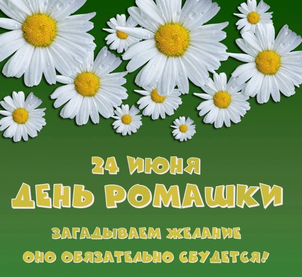 Праздник день ромашки