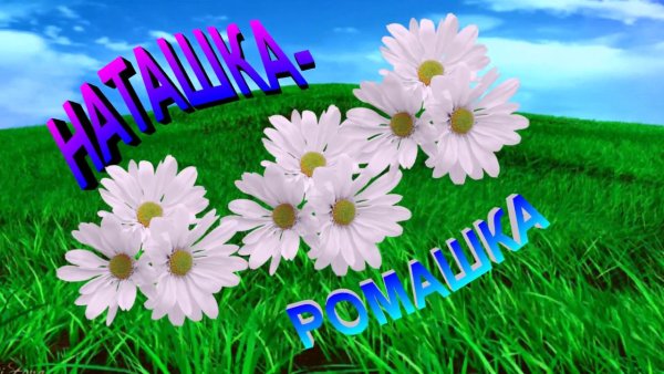 Открытки ромашки для Наташки