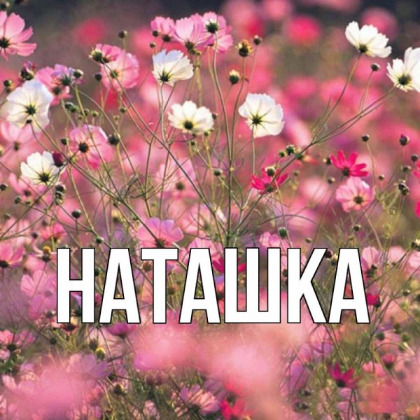 Открытки для Наташки