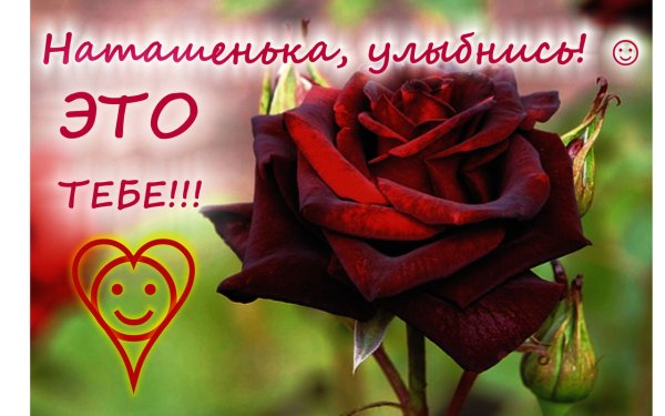 Букет роз для Наташи