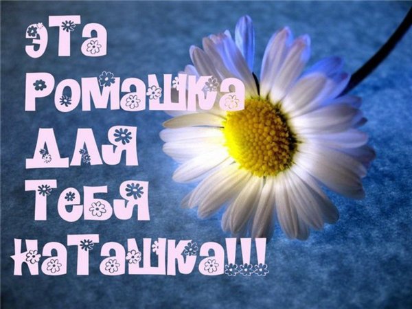 С днём рождения ромашки