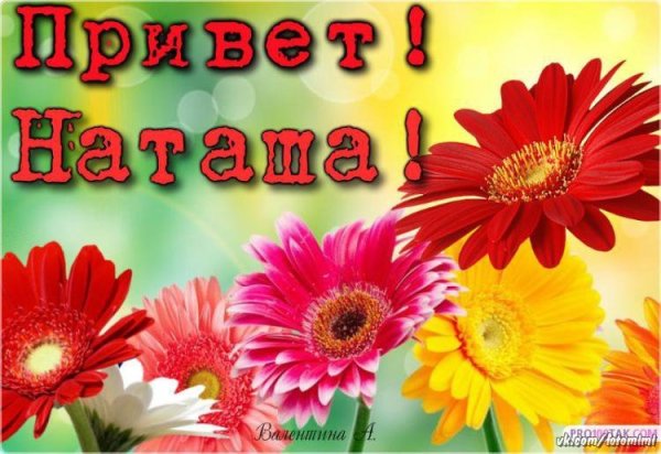 Цветы для Наташи