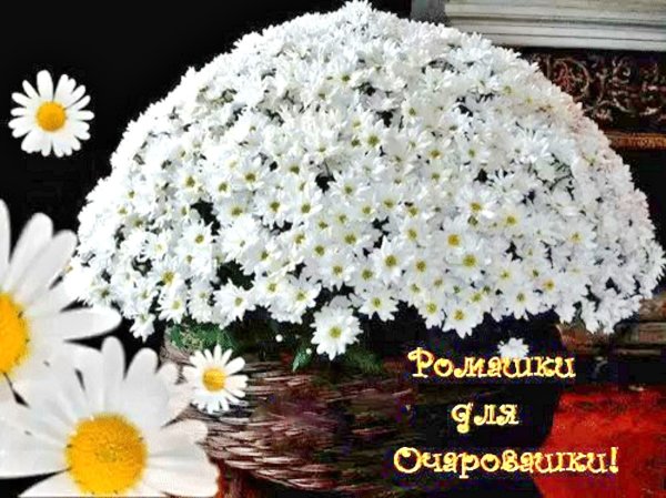 Добрый день Наташенька