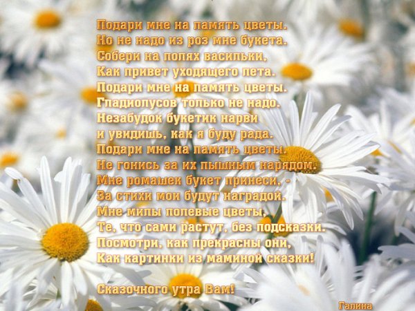Букет ромашек