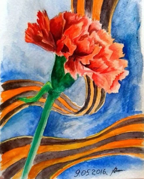 Рисунок растения гвоздика голландская (Шабо)