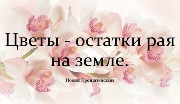 Волшебный сад