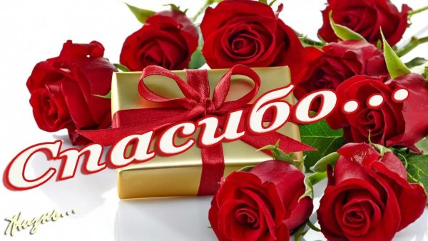 Открытки спасибо большое