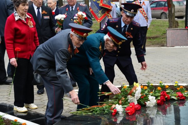Гвоздики возложение