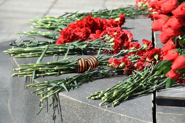 Возложение цветов около вечного огня Арзамас
