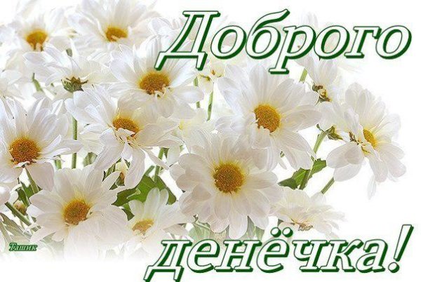 Добрый день Наташенька