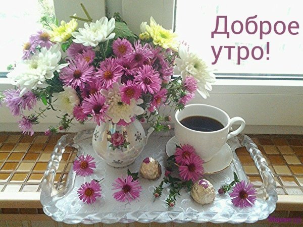 Доброе утро хризантемы с надписью