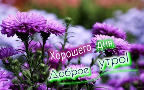 Доброе утро коллеги
