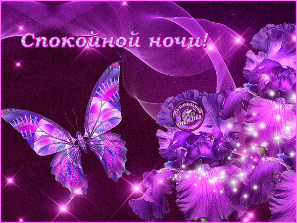 Фиолетовая тема