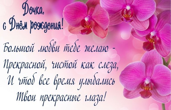 Поздравления с днём рождения с животными