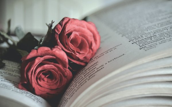 Эстетика книг и цветов