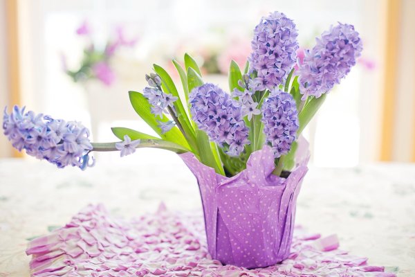 Розовые цветы