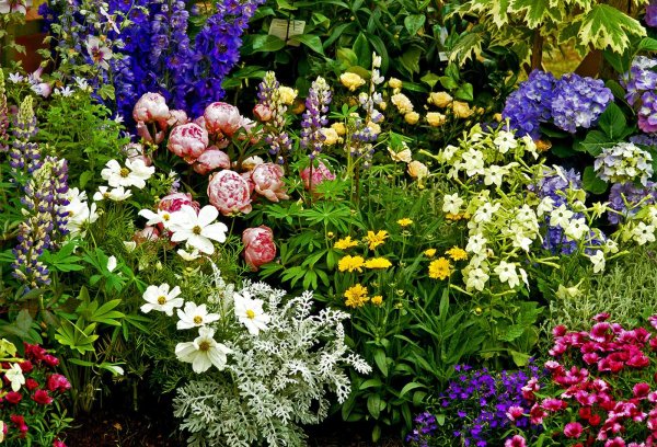 Миксбордер Хайди Клум