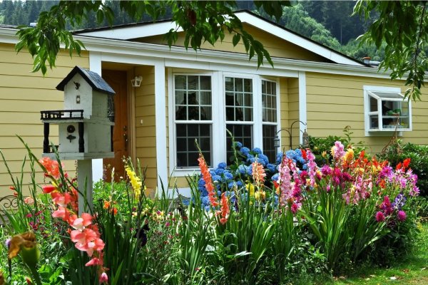 Палисадник Энфилд