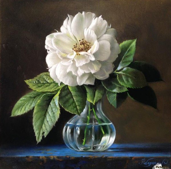 Питер Вагеманс (Pieter Wagemans, 1948).Бельгия.
