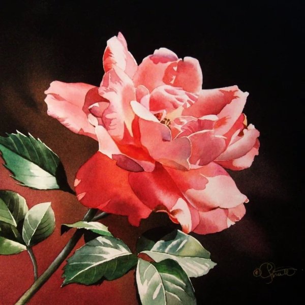 Jacqueline Gnott