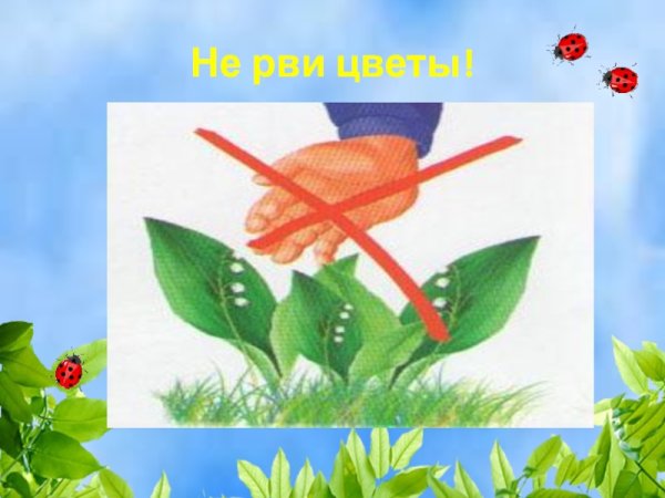Нельзя рвать цветы