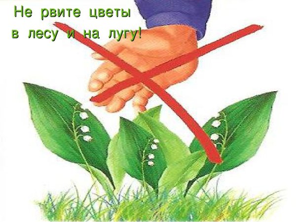Берегите растения