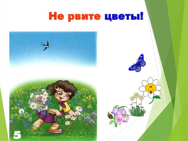 Не рвать цветы