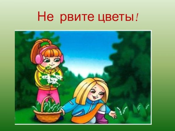 Нельзя рвать цветы в лесу