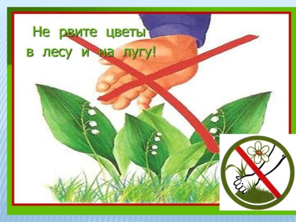 Нельзя срывать цветы